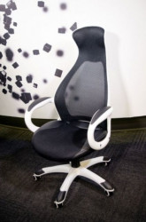 Office Chair Executive DS-019 Black/White (Mesh,PU) ( DS-019 ) - Img 2