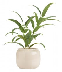 Plant pot Marcus fi 13xH13cm ( 4912333 ) - Img 2