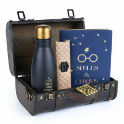 Pyramid International Harry Potter (Trouble FInds Me) Premium Gift Set ( 045156 )