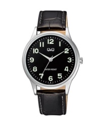 Q&Q muški sat ( C10A-012PY )