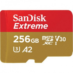 SanDisk Action Cameras & Drones 256GB memorijska kartica ( 0704924 )