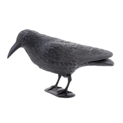 Strašilo za ptice i štetočine Gavran 38cm ( 11121 )