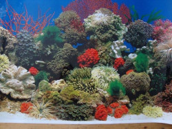 Trixie Pozadina za akvarijum,slatka/slana voda 49 cm x 15 m ( 8115 ) - Img 1