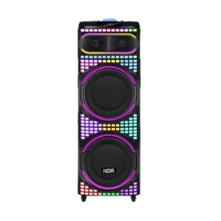 Zvucnik bluetooth ndr-2260 100w 2*12 inca sa dva mikrofona crni ( ZV1137 )-4