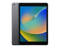 Apple iPad 9th Gen 10.2 inch A13 WiFi 256GB Space Gray (fk2n3ll/a) -3