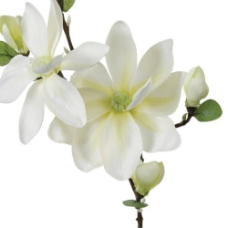 Atmosphera magnolia stem 25x79cm poliester/plastika ( 116021 )-2