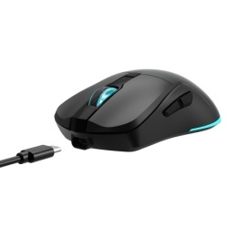 Baracuda BGM 121 Turtle Wireless Mouse Black