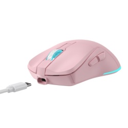 Baracuda BGM 124 Turtle Wireless Mouse Pink