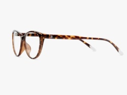 Barner Astoria/ Glossy Tortoise Zaštitne naocare ( AGT )