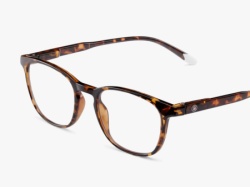 Barner Dalston/ Glossy Tortoise Zaštitne naocare ( DGT )