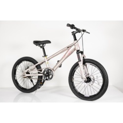 Bicikl za decu 20/1 -tn24q22- champagne/pink ( BCK0408 )