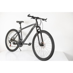 Bicikla 29"/21  maximus grey   ( BCK0953 ) -10