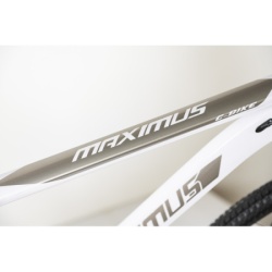 Bicikla 29"/21  maximus white   ( BCK0952 ) -9