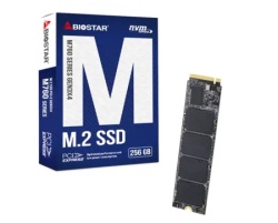 Biostar SSD M.2 NVME 256GB 2800MBs1700MBs M760