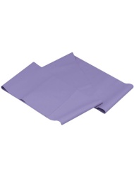 Body sculpture power band set ( 5010800043 )