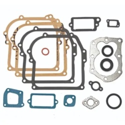 Briggs guini parts zaptivač kompl set br qvatro ( 13099 )