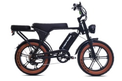 Capriolo e-retro (16) ( 926815 )