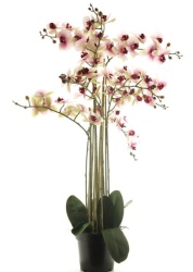 Dekordom 51341-7 Cvet u saksiji orchid 110cm - pink - nnt ( 040062 )
