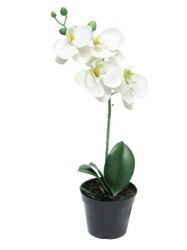Dekordom Cvet u saksiji orchid 35cm 51345-0 - white - nnt ( 040065 )