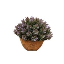 Dekordom cvet u saksiji - succulent hx0461 - n38 ( 024265 )-2