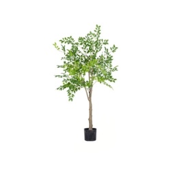 Dekordom drvo - money tree n60 -150cm( 025144 )