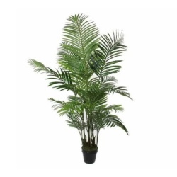 Dekordom Drvo u saksiji areca palm 160cm 1026427 - edl ( 041255 )