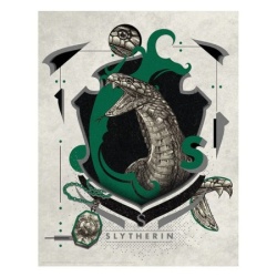 Fanattik Harry Potter Art Print : Slytherin ( 068938 )