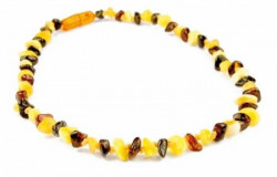 Grunspecht ogrlica od ćilibara, 35cm, boja šarena ( 3380002 )