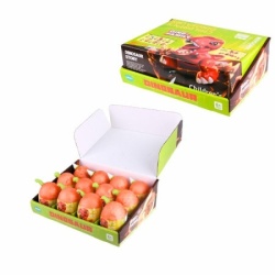 Jaje iznenadjenja - dinosaurusi 12/1 k38-12 ( 11/71984 )