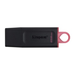 Kingston Usb flash memorija data traveler exodia 256gb 3.2 dtx crno roze ( FM789 )
