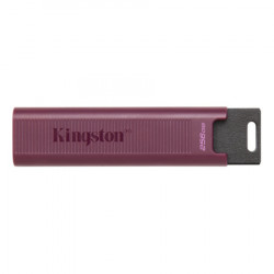 Kingston USB memorija ( DTMAXA/256GB ) - Img 1