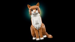 Lego Narandžasta mačka ( 21376 )-10