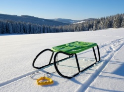 Prosperplast sanke Little Beetle - Zeleno-Crne ( ISMB-G800C )