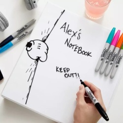 Sharpie marker fine crni ( s0810930 ) -4