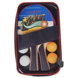 Stoni tenis set u futroli sa 4 loptice ( 1043764 )
