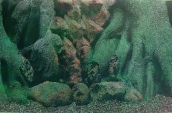 Trixie Pozadina za akvarijum, drvo 3D/slatkovodna str., 49 cmx15 m ( 8120 )
