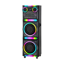 Zvucnik bluetooth ndr-m1104 60w 2*10 inca sa dva mikrofona crni ( ZV1318 )