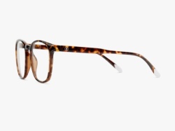 Barner Dalston/Glossy Tortoise Zaštitne naocare  ( DGT ) -2