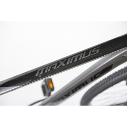 Bicikla 29"/21  maximus grey   ( BCK0953 ) -7