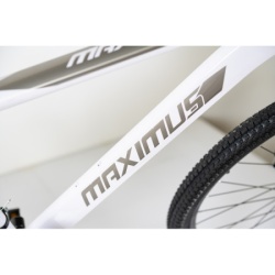 Bicikla 29"/21  maximus white   ( BCK0952 ) -6