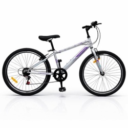 Dečija Bicikla Sport 24" 7 Siva ( SM-24904 )
