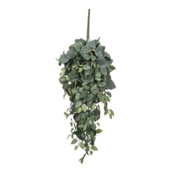 Dekordom Cvet pilea 70cm 953440 - green - edl ( 040420 )