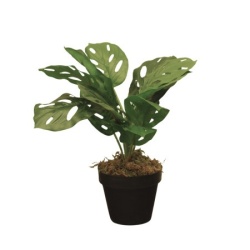Dekordom Cvet u saksiji - monstera calathea zd-241325 - 36cm - n55 ( 025080 )