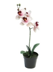 Dekordom Cvet u saksiji orchid 35cm 51345-7 - pink - nnt ( 040066 )