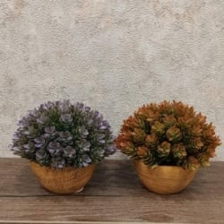 Dekordom cvet u saksiji - succulent hx0461 - n38 ( 024265 )-3