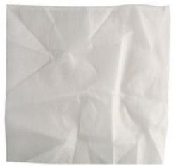 Einhell tekstilni filter, za duo, inox serije ( 2351140 )