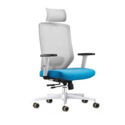 Ergo office plus - Radna anatomska stolica Y2 - Bela-1