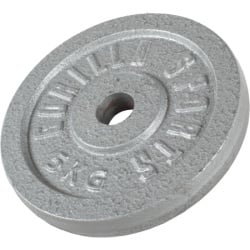 Gorilla Sports Teg od livenog gvožđa (5 kg / Srebrni) ( 100538-00002-0010 )