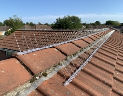 Home Set Manji - 3 komada šiljaka za rasterivanje ptica sa dvostrano lepljivom trakom