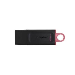 Kingston 256gb dtx/256gb Flash ( 52626 )-2